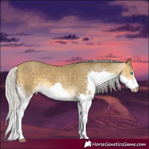 Horse Color:Silver Sable Cream Champagne Splash