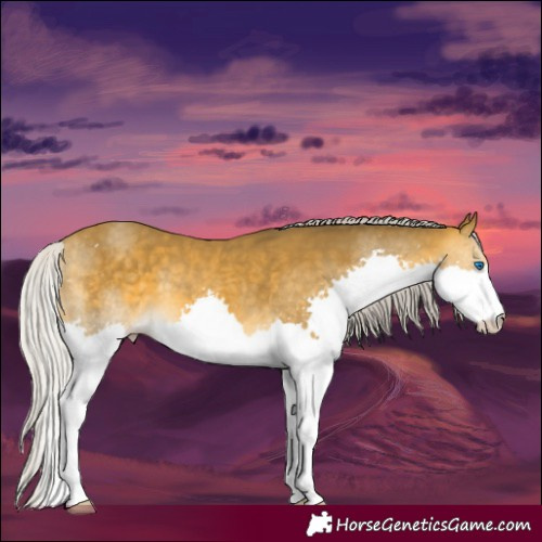 Horse Color:Silver Sable Cream Champagne Splash 