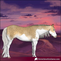 Horse Color:Silver Sable Cream Champagne Splash 