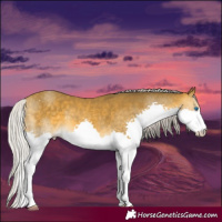 Horse Color:Silver Sable Cream Champagne Splash 