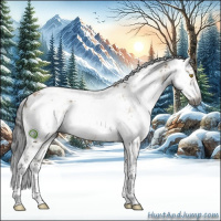 Horse Color:Gray Buckskin Dun Sabino
