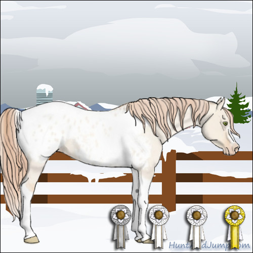 Horse Color:Gold Champagne Roan Dun Splash Tobiano Frame Appaloosa Rabicano 