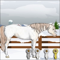 Horse Color:Gold Champagne Roan Dun Splash Tobiano Frame Appaloosa Rabicano 