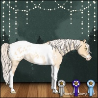 Horse Color:Silver Amber Champagne Roan Dun Splash Tobiano Frame Appaloosa Rabicano 