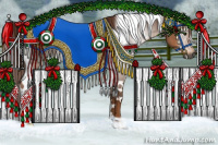 Horse Color:Gray White Spotted Chestnut