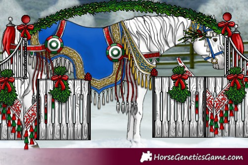 Horse Color:Gray White Spotted Red Dun