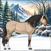 Horse Color:Bay Dun Sabino 