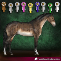 Horse Color:Gray Brown Dun Sabino Brindle