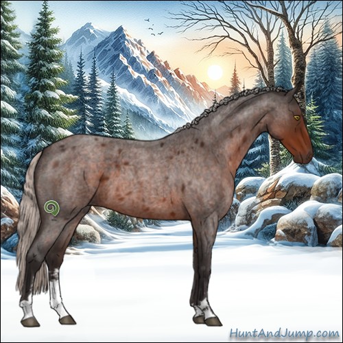 Horse Color:Silver Brown Roan Sabino 