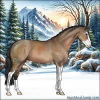 Horse Color:Brown Dun Sabino