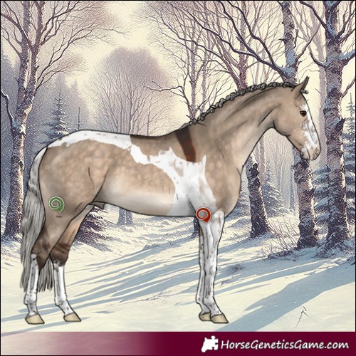 Horse Color:Silver Brown Dun Sabino Tobiano 