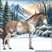 Horse Color:Black Pearl Sabino 
