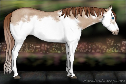 Horse Color:Red Dun Roan Splash Frame Rabicano 