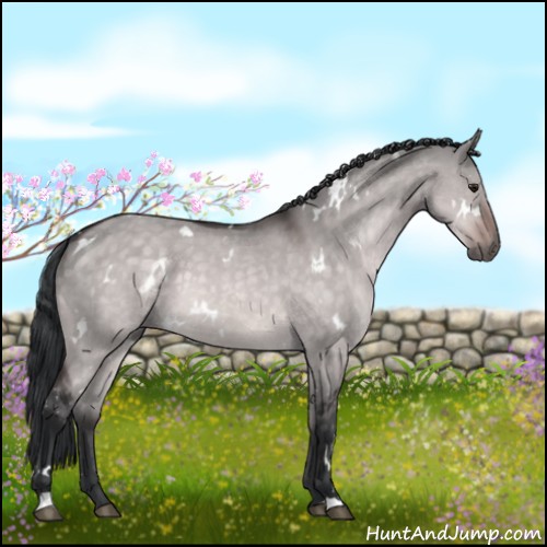 Horse Color:Platinum White Spotted Brown Dun 