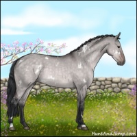 Horse Color:Platinum White Spotted Brown Dun