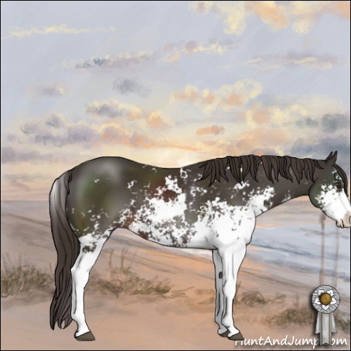 Horse Color:Liver Chestnut Sabino