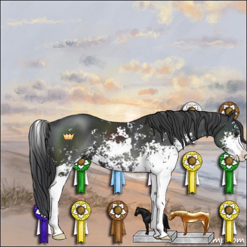 Horse Color:Black Sabino