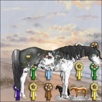 Horse Color:Black Sabino 