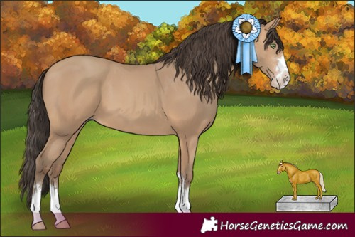 Horse Color:Amber Champagne 