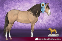 Horse Color:Amber Champagne 