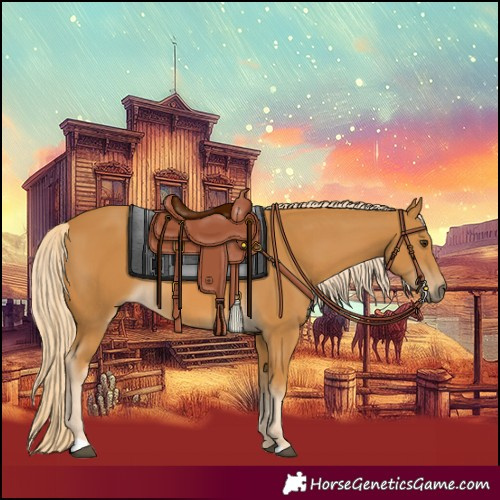 Horse Color:Palomino 