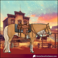Horse Color:Palomino