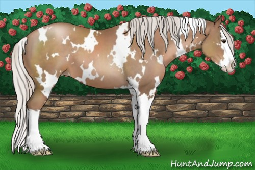 Horse Color:White Spotted Silver Black Pearl Splash 