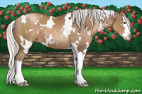 Horse Color:White Spotted Silver Black Pearl Splash