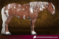Horse Color:White Spotted Chocolate Silver Black