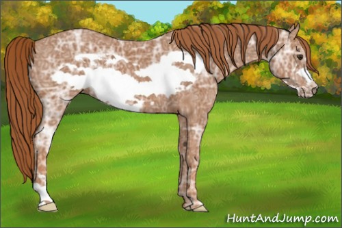 Horse Color:Chestnut Ice Frame