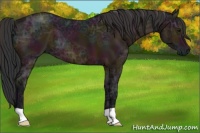 Horse Color:Midnight Bay Ice 