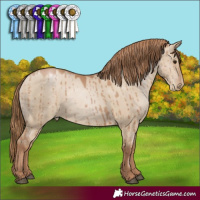 Horse Color:Grullo Pearl Brindle 