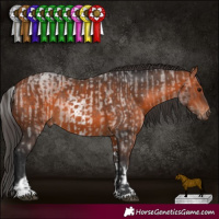Horse Color:White Spotted Bay Roan and Bay Rabicano