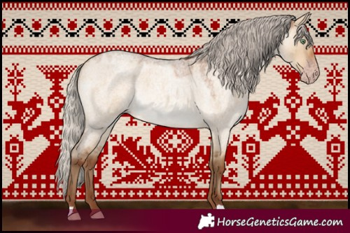 Horse Color:Gray Silver Amber Champagne Roan Dun