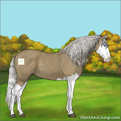 Horse Color:Silver Smoky Black Splash