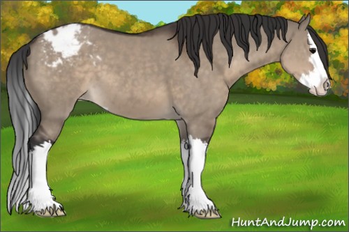 Horse Color:Brown Dun Sabino Splash Appaloosa 