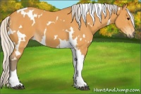 Horse Color:White Spotted Silver Buckskin Tobiano 