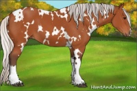 Horse Color:White Spotted Silver Bay 