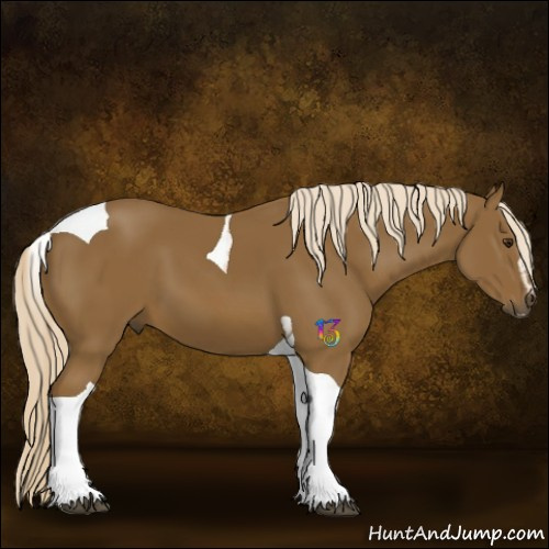 Horse Color:Chocolate Palomino Sabino Tobiano 