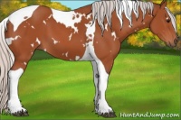 Horse Color:White Spotted Silver Bay Tobiano