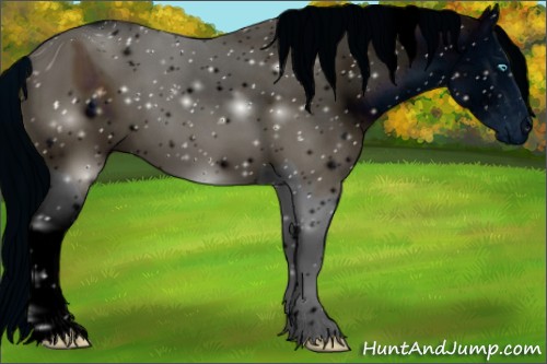 Horse Color:ERROR: UNKNOWN ANOMALY