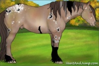Horse Color:White Spotted Sable Champagne Tobiano Blanket 
