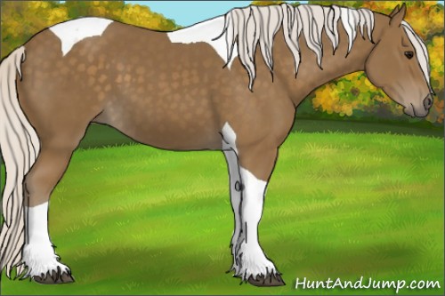 Horse Color:Silver Smoky Black Tobiano 