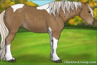 Horse Color:Silver Smoky Black Tobiano 