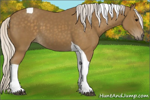 Horse Color:Silver Smoky Black Tobiano 