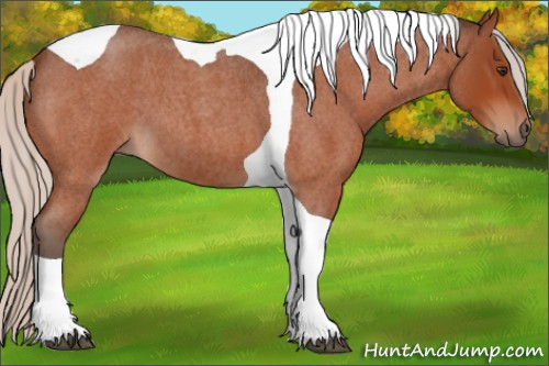 Horse Color:Silver Brown Roan Tobiano 