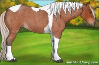 Horse Color:Silver Brown Roan Tobiano