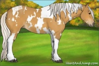 Horse Color:White Spotted Silver Buckskin Tobiano
