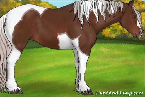 Horse Color:Silver Brown Tobiano 