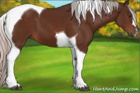 Horse Color:Silver Brown Tobiano 